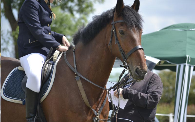 Mario Mühlenberg zweifacher Sieger im Ü40 Seniorencup