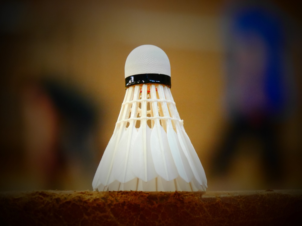 Neue Sportart gefällig? BSC 95 Schwerin sucht interessierte Kinder