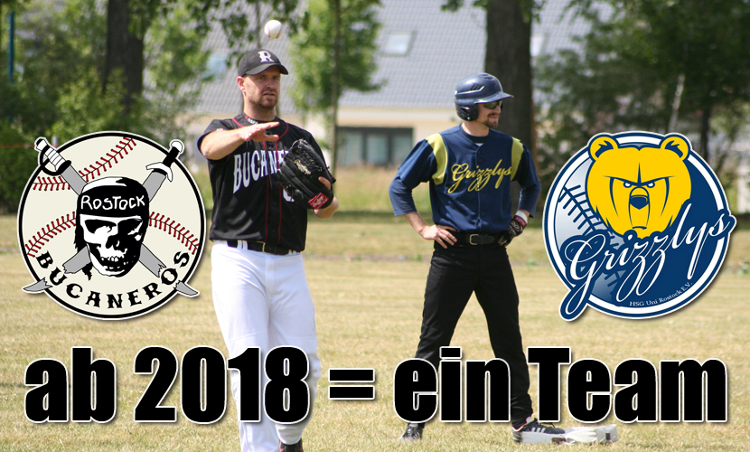 Rostocker Baseball-Teams fusionieren