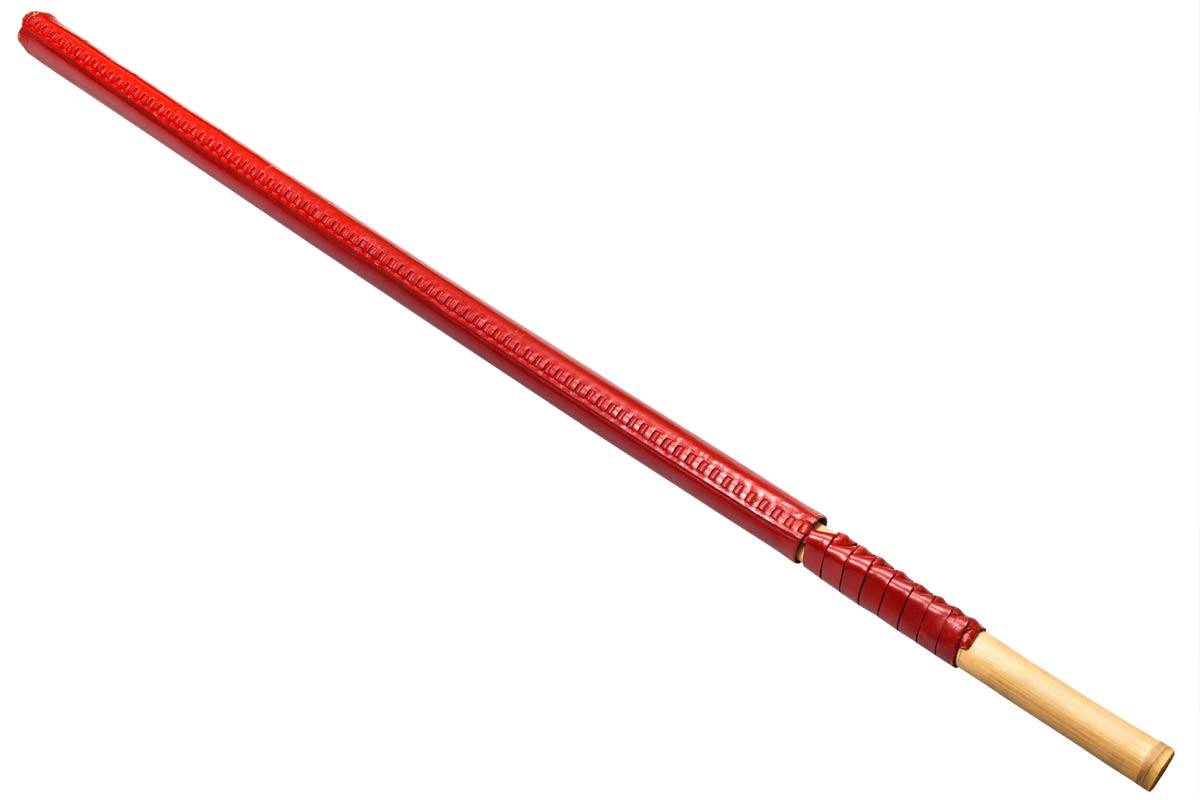 Rekordbeteiligung zum Jubiläum – 10 Jahre Kendo in Schwerin