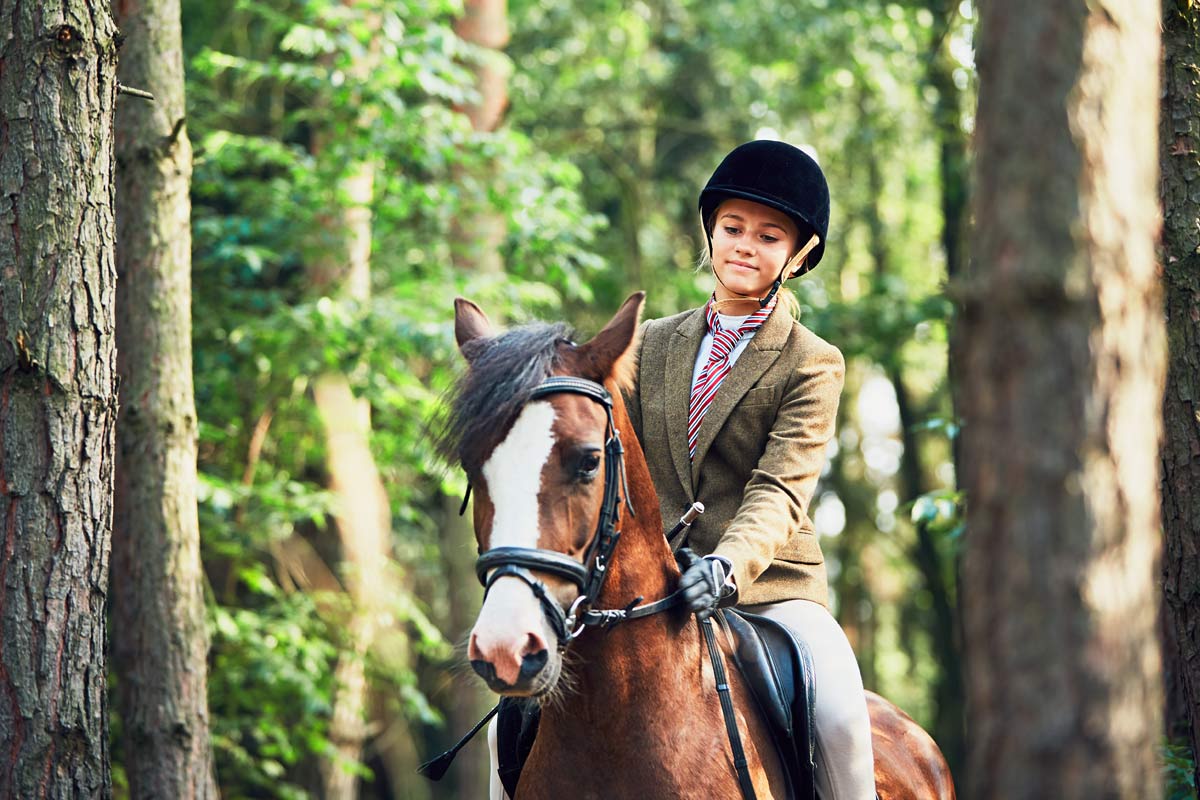 „Hunde und Pferde, das passt gut…“