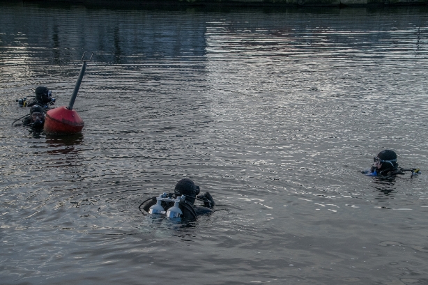 „Auch die Seehasen waren wieder da…“