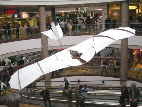 Sportlich hoch oben: Der Pasewalker Luftsportclub „Die Ueckerfalken“