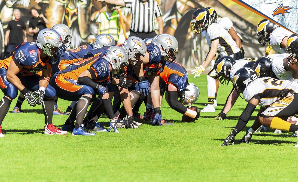 Griffins fahren nach Berlin