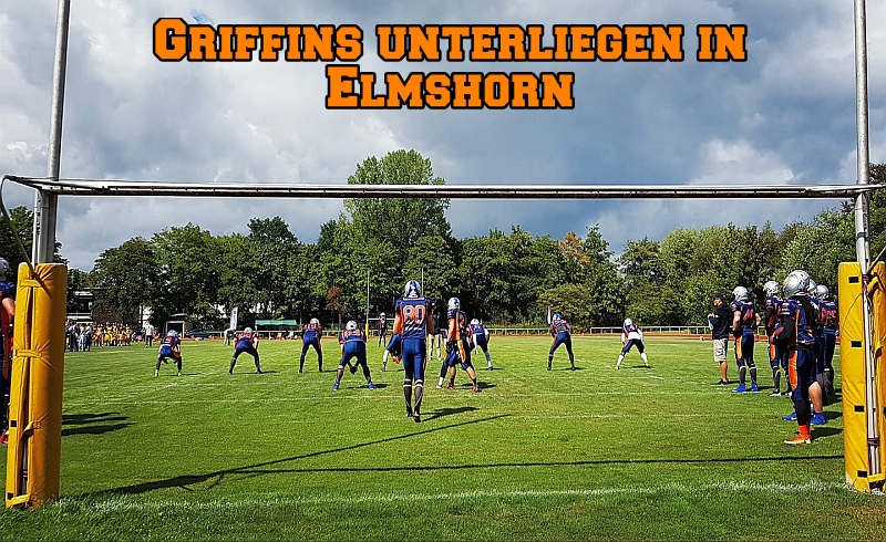 Griffins unterliegen nach starker kämpferischer Leistung