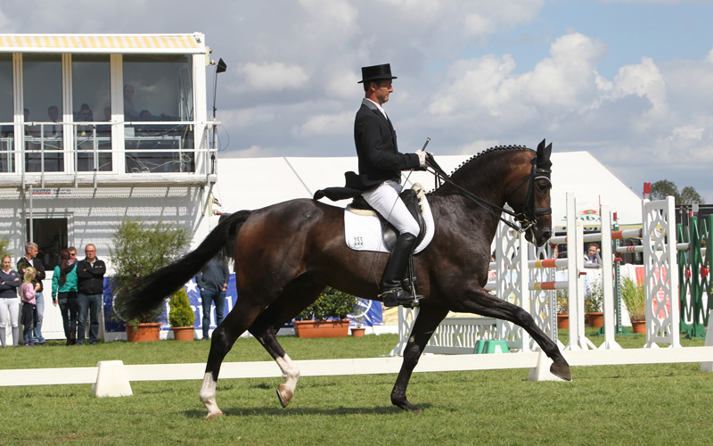 28. Reit- und Hundesportturnier in Mühlengeez – aufgrund hoher Nennzahlen Beginn bereits am Donnerstag
