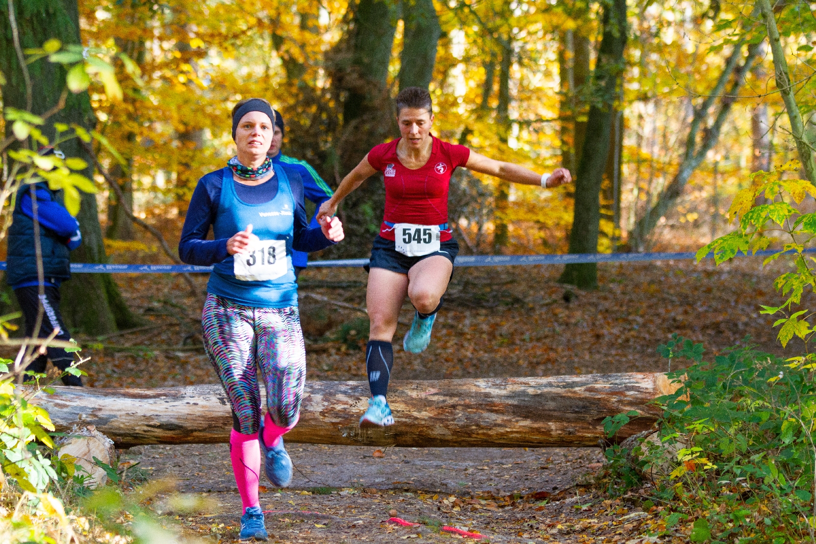 Crosslauf-Landesmeisterschaften im Laager Stadtwald