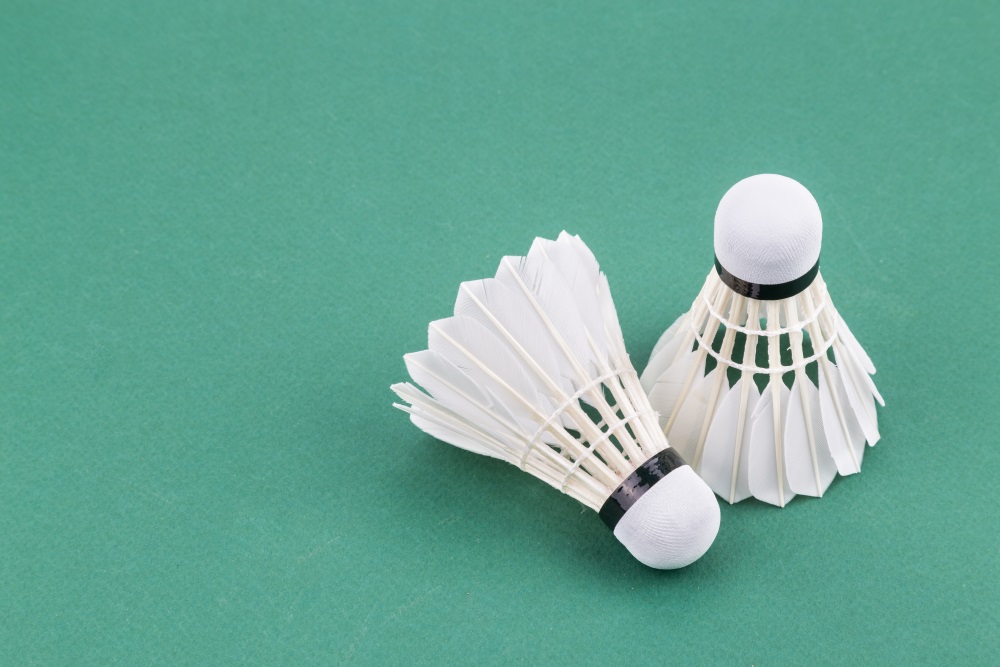 Schweriner Badminton-Nachwuchs in Hamburg-Bergedorf erfolgreich