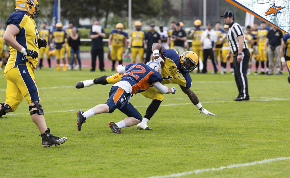 Griffins empfangen Spitzenreiter Elmshorn