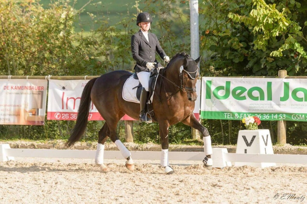Saskia Deutz Zweite beim internationalen Para-Dressurturnier