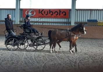 Erneuter Landestrainertag im Fahrsport