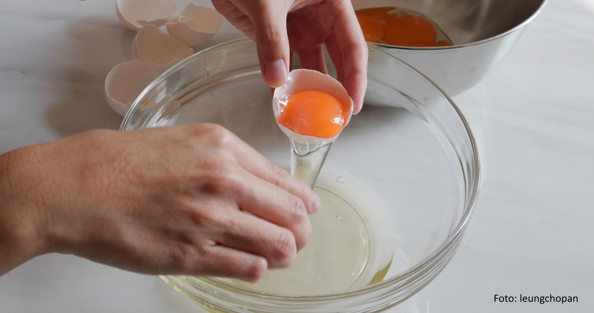 Die Bedeutung von Eiprotein für den menschlichen Körper