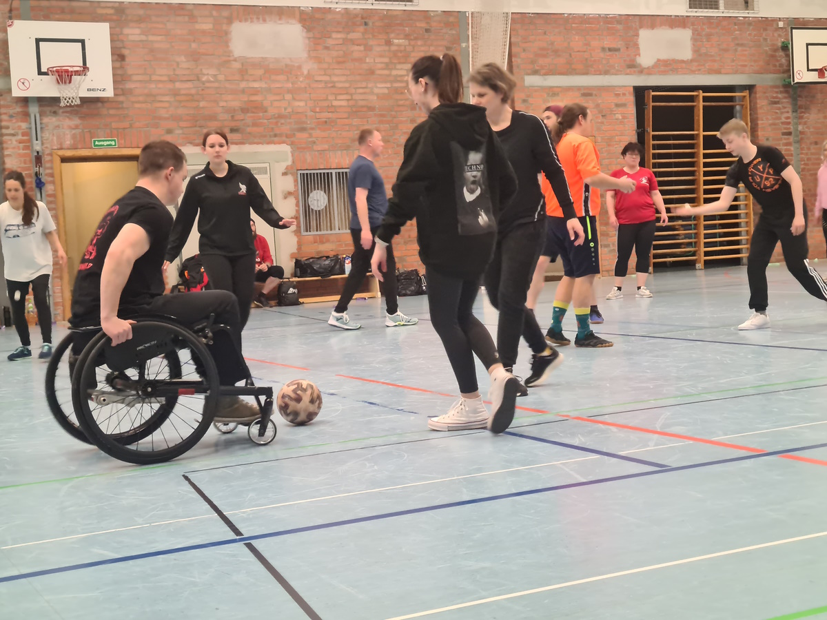 Basisqualifikation für 60 angehende Trainer in Greifswald