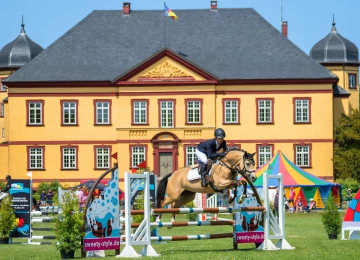 Goldene Schärpe Ponys: Gelungene Premiere in MV