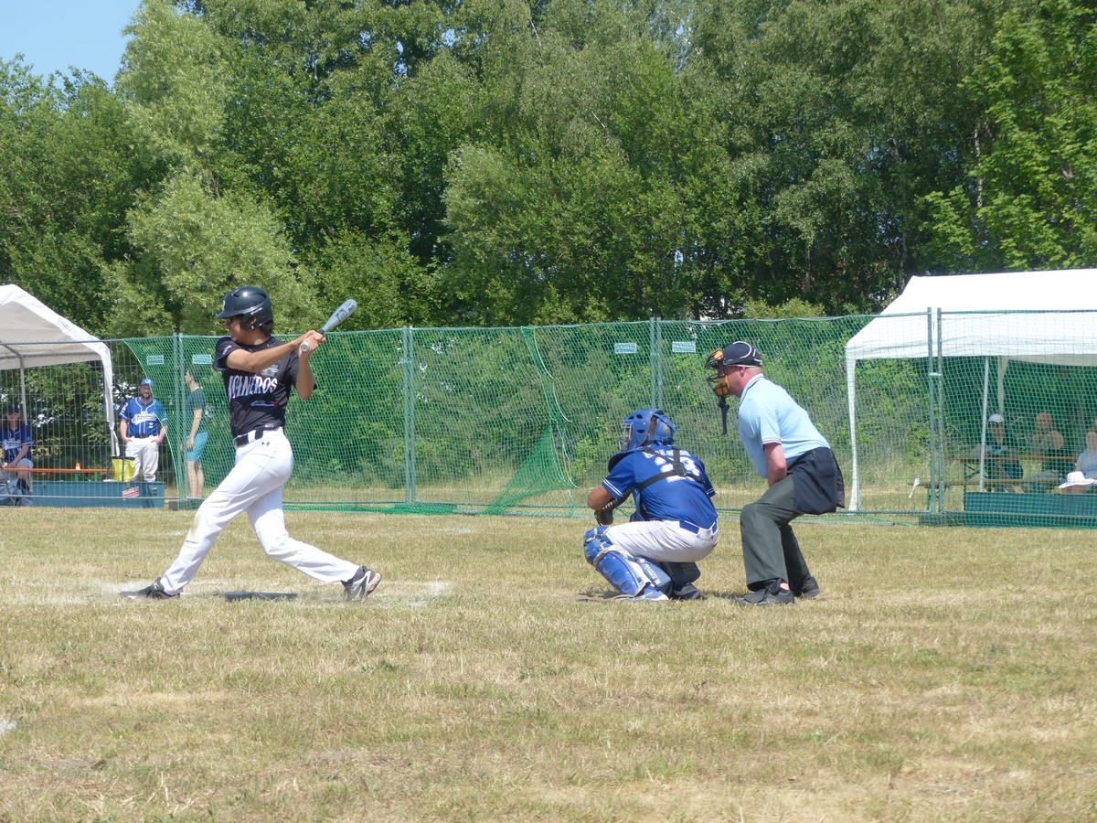 Rostocker Baseballer mit gutem Saison-Start