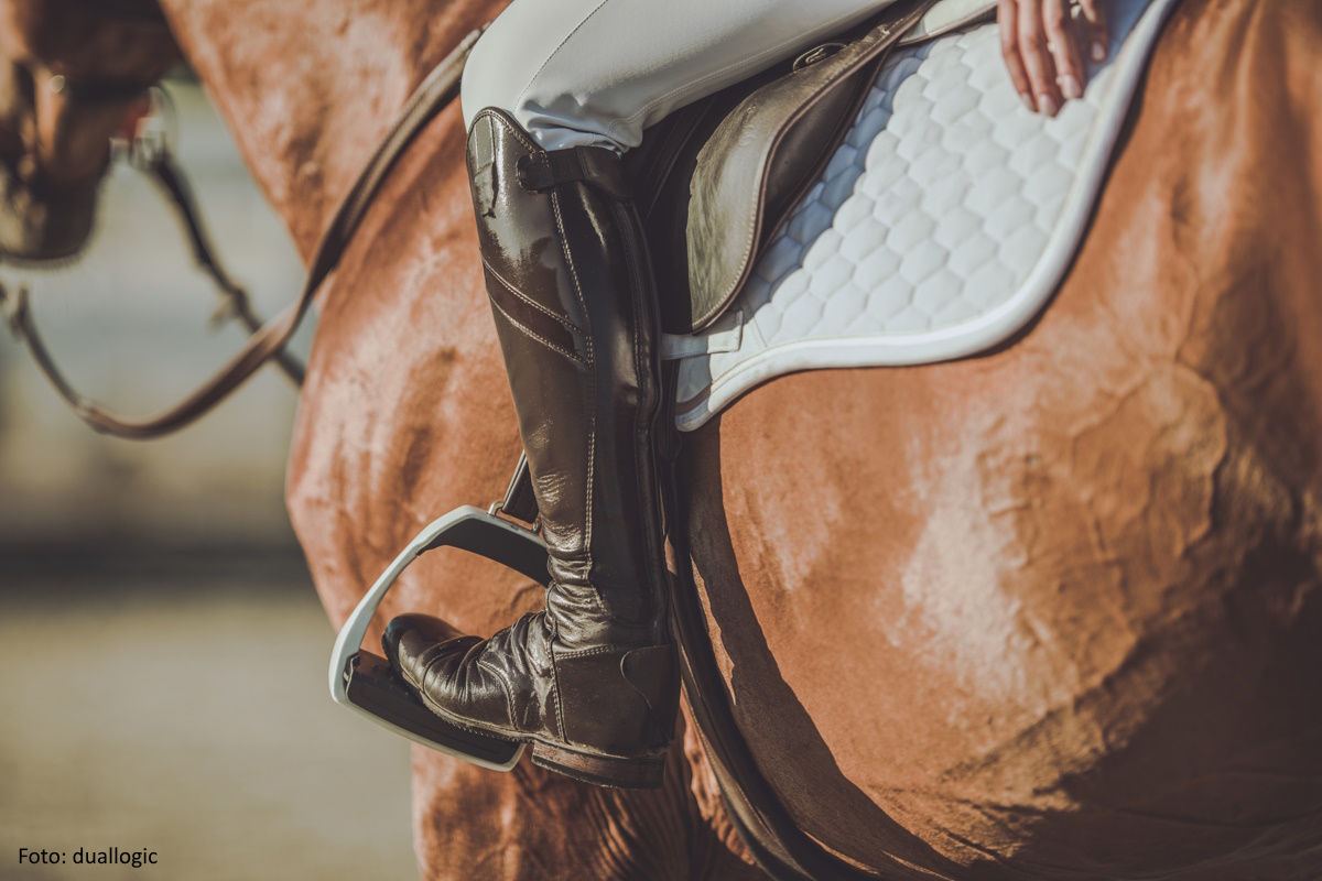 Die Kreismeister aus dem Landkreis Rostock stehen fest