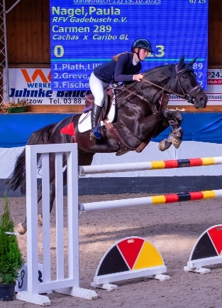 Hallen-Springturnier in Gadebusch