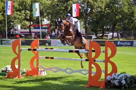 Springreiternachwuchs MV erfolgreich in Pausin