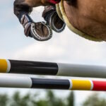 Pferd beim überspringen eines Hindernisses