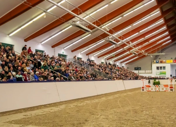 Erste Landeshallen-Champions Springen 2024 geehrt