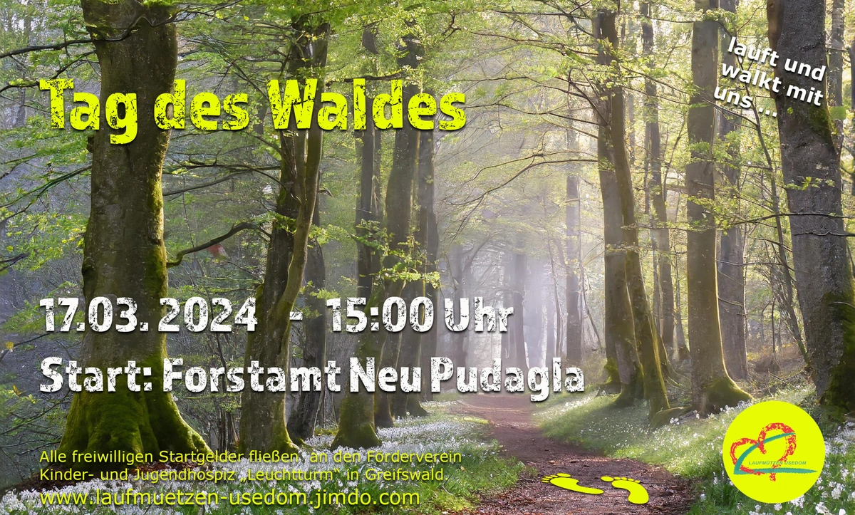 Laufen & Walken zum „Tag des Waldes“