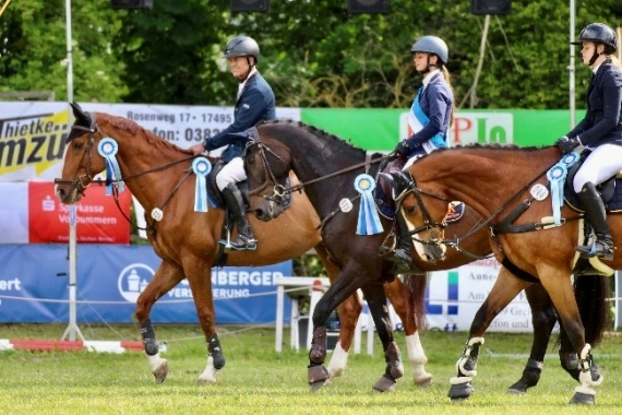 Neue Kreismeister Vorpommern-Greifswald Dressur und Springen