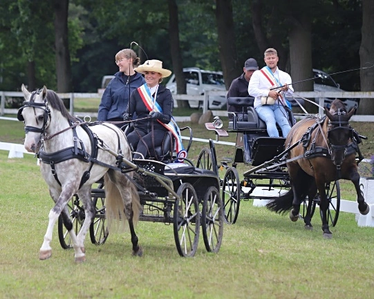 Paulin Marie Thiele und Felix Dallmann sind die neuen Landesmeister