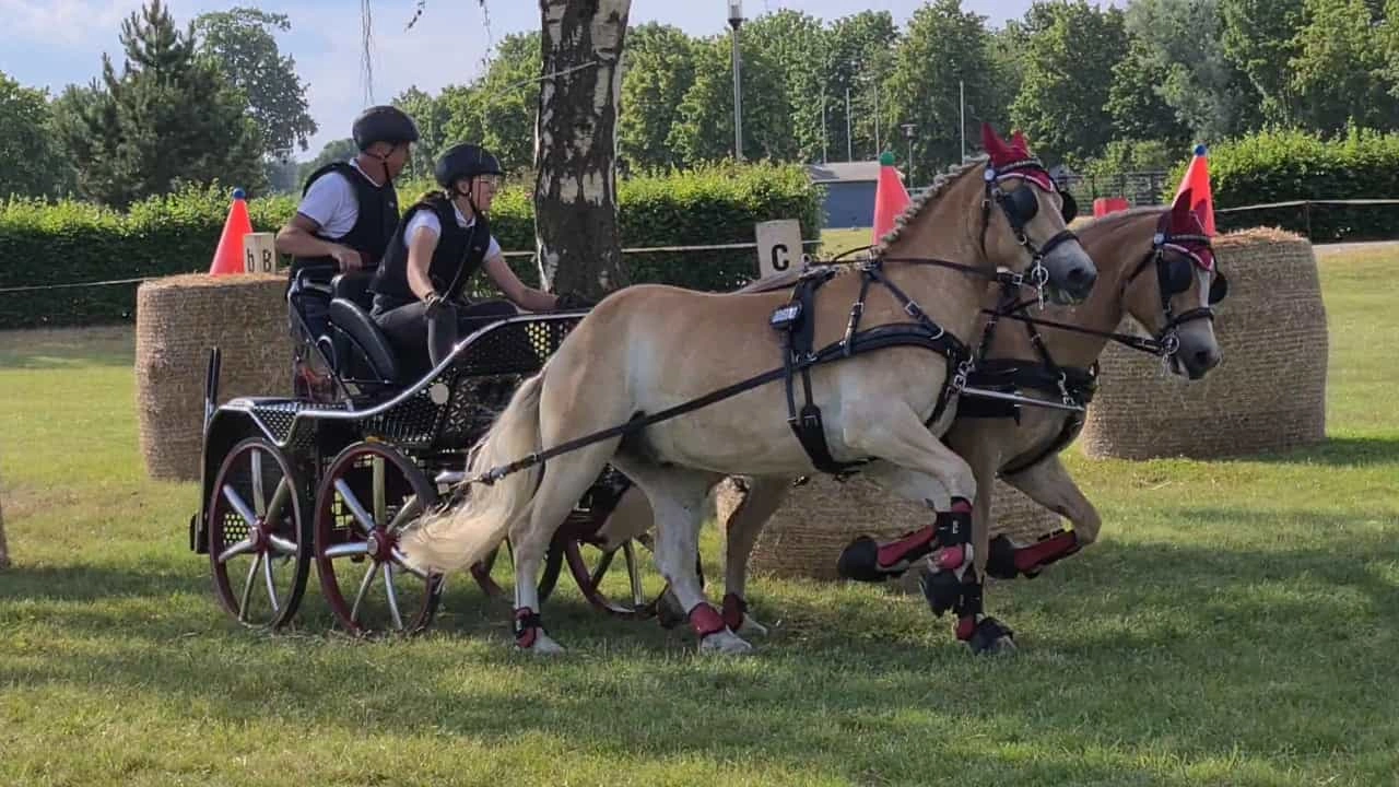 Vorbereitung zur Deutschen Jugendmeisterschaft Fahren