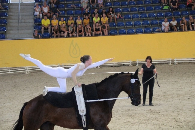 MV-Voltigierer zelebrierten Deutsche Jugendmeisterschaft