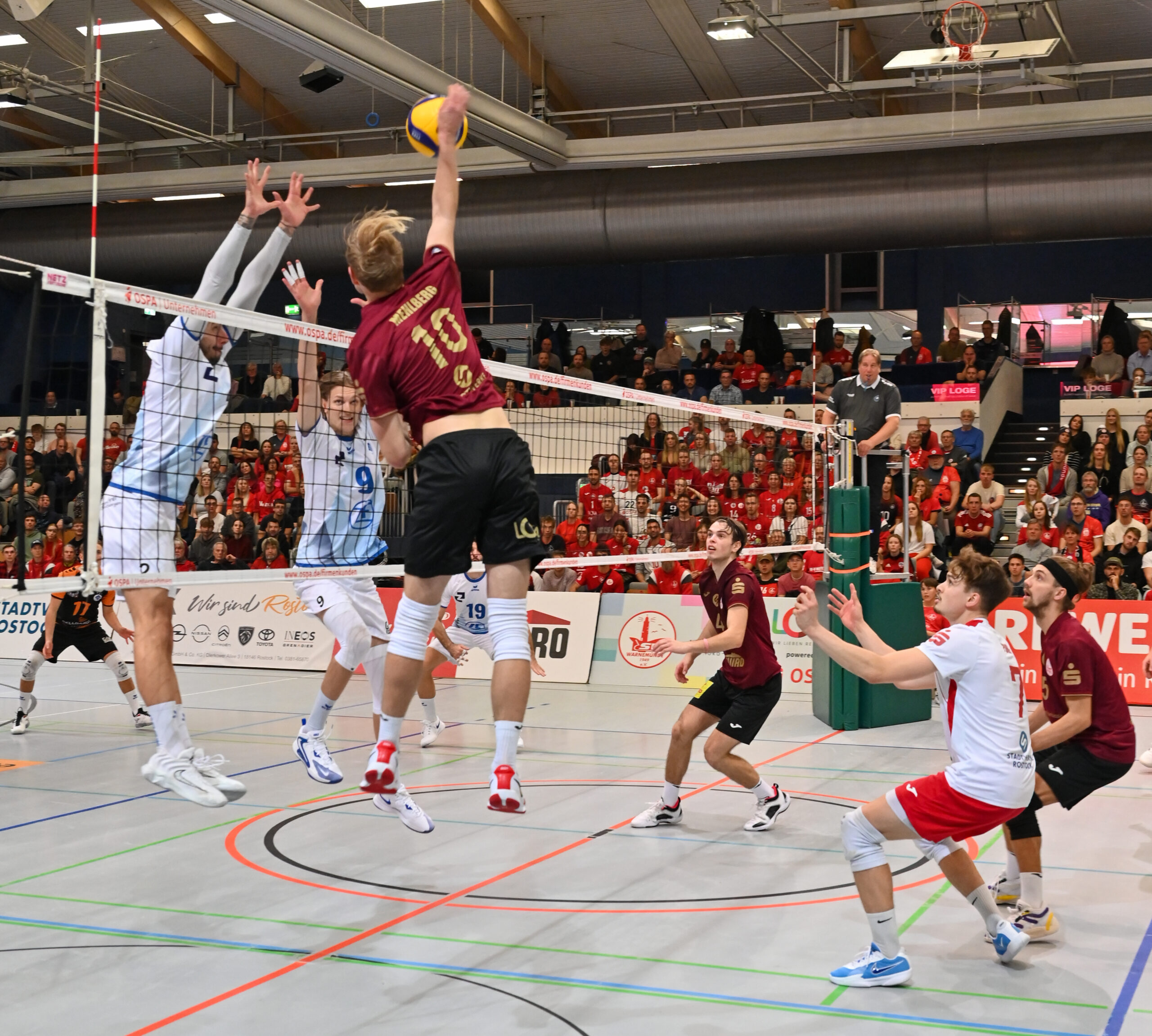 SVW – Drittes Heimspiel gegen die GRIZZLYS