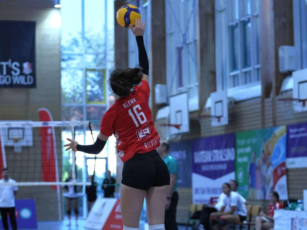 Stralsunder Wildcats doppelt gefordert