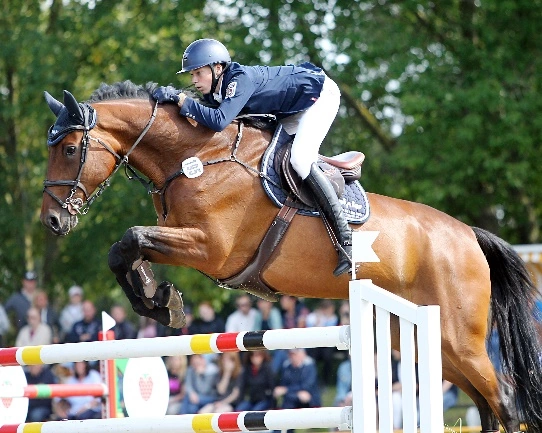 Hendrik Greve Zweiter beim Goldenen Sattel in Leipzig