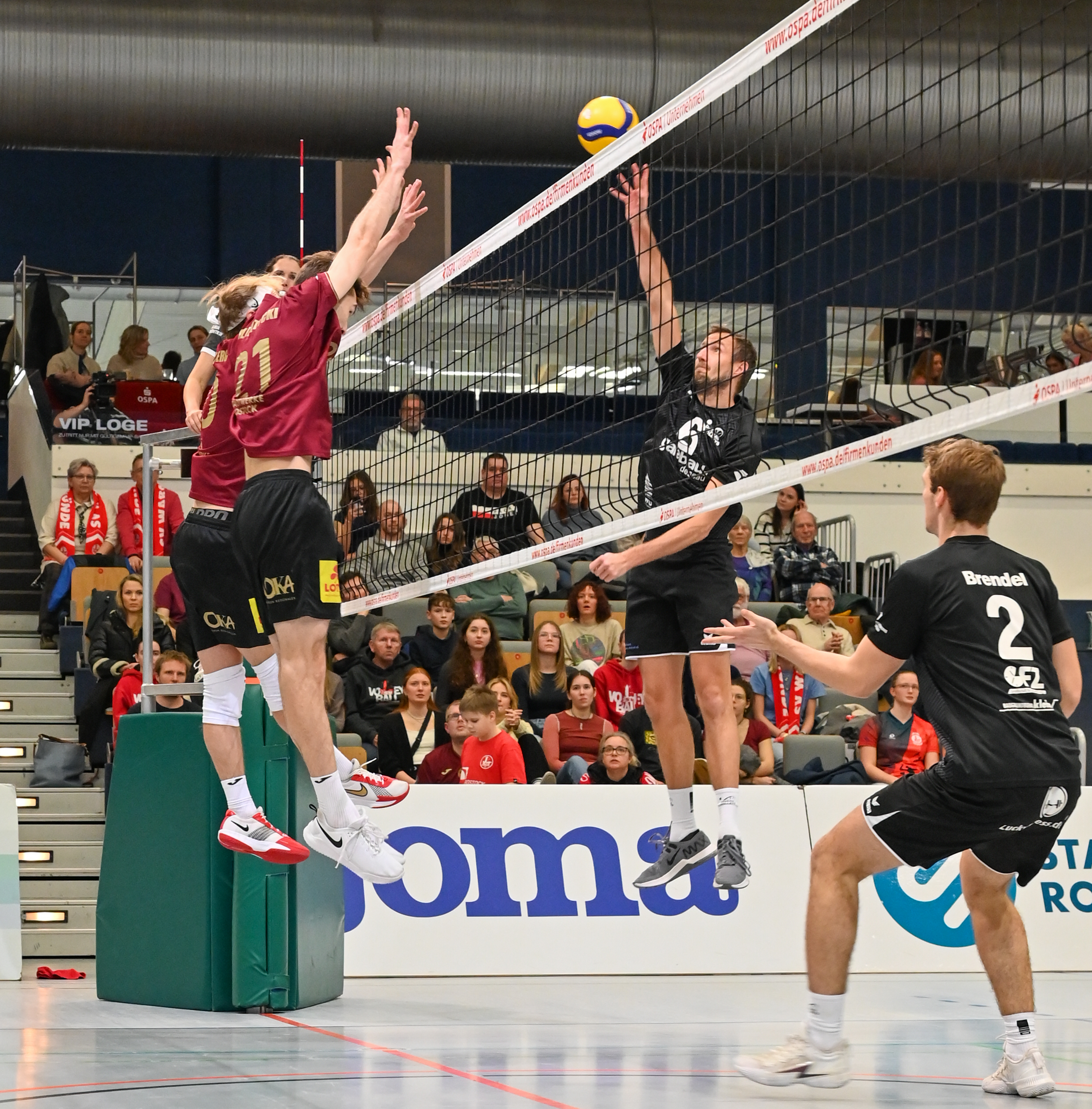 SVW im Derby gegen die Adler