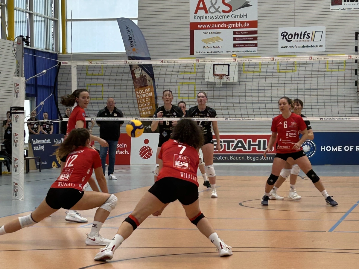 7. Sieg in Folge: Wildcats setzen sich gegen Ostbevern durch