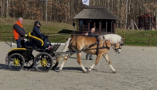 Breitensport meets Bundestrainer