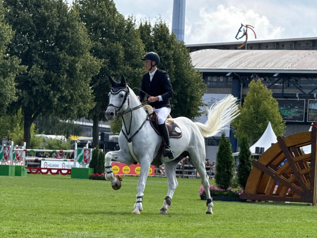 Nachwuchsreiter trotzen großer Kulisse – Platz 7 für Hendrik Greve