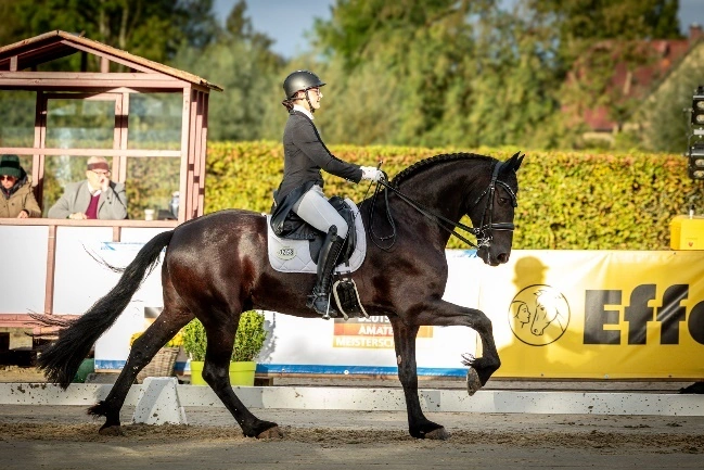 MV-Team greift bei Deutschen Amateur-Meisterschaften an