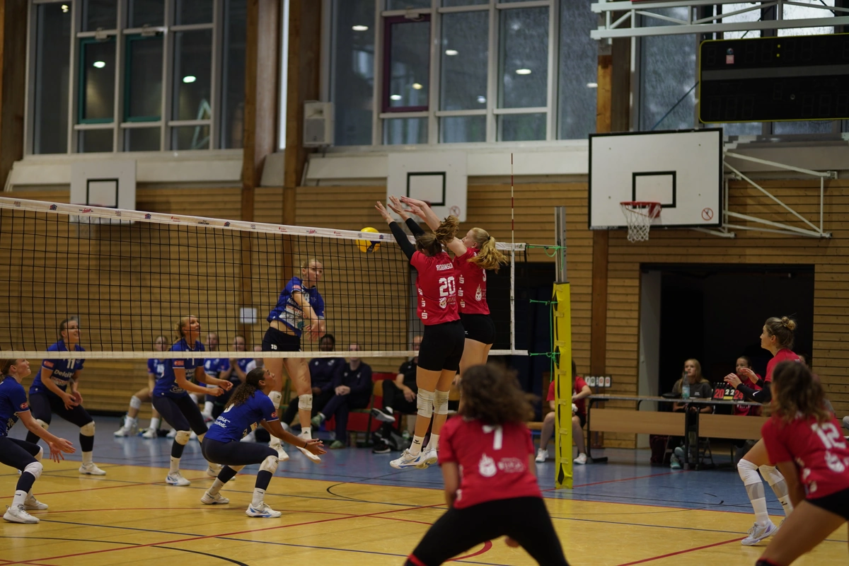 Heimspielstart für Sparkassen Wildcats Stralsund