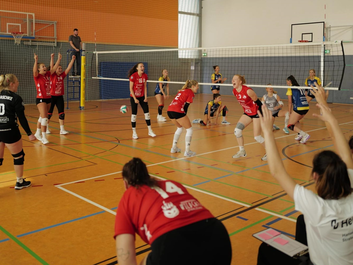 Favoritenrolle gerecht geworden: Wildcats für Regionalpokal qualifiziert