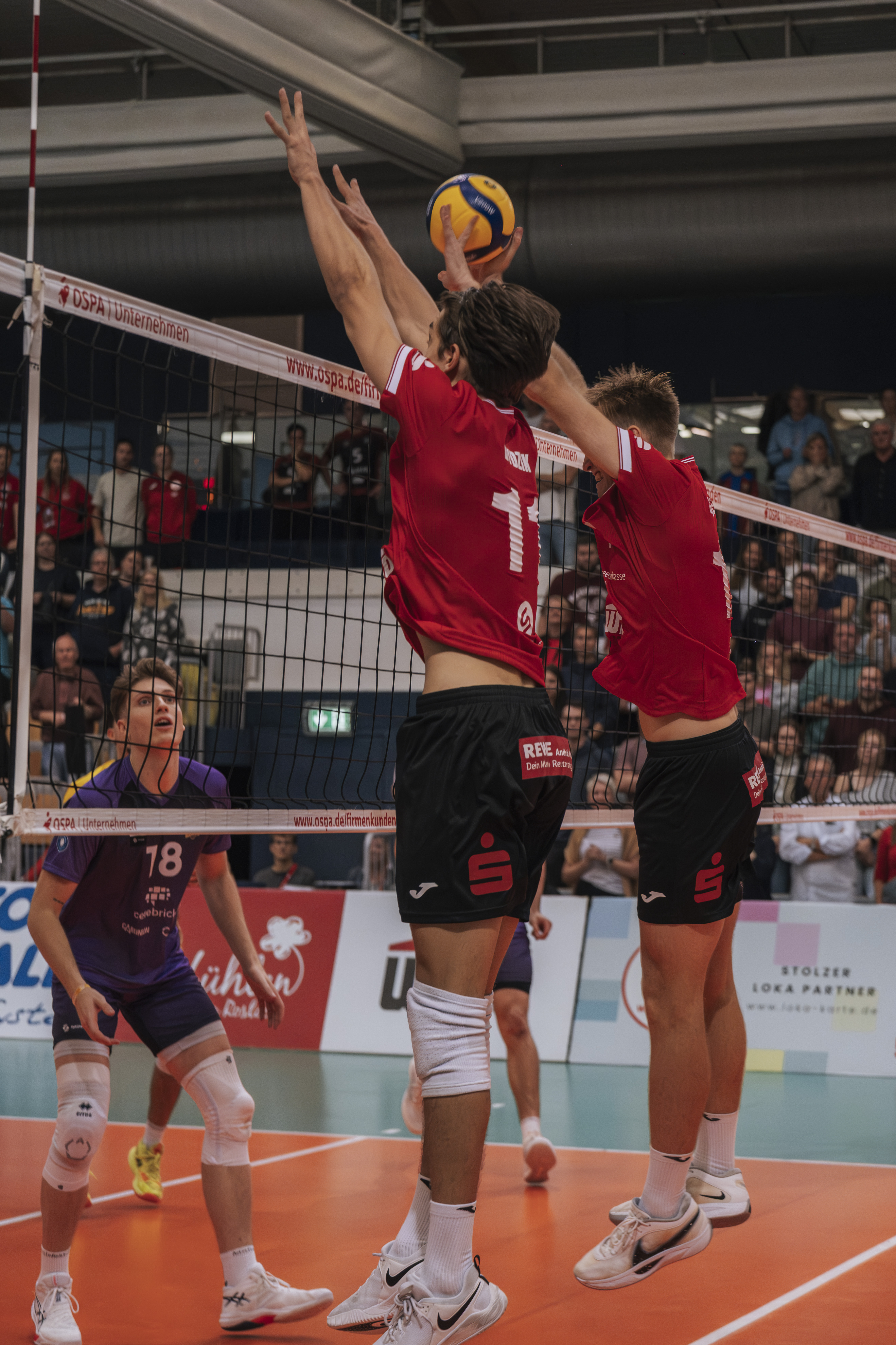 SV Warnemünde startet in das Abenteuer 1. Volleyball Bundesliga!