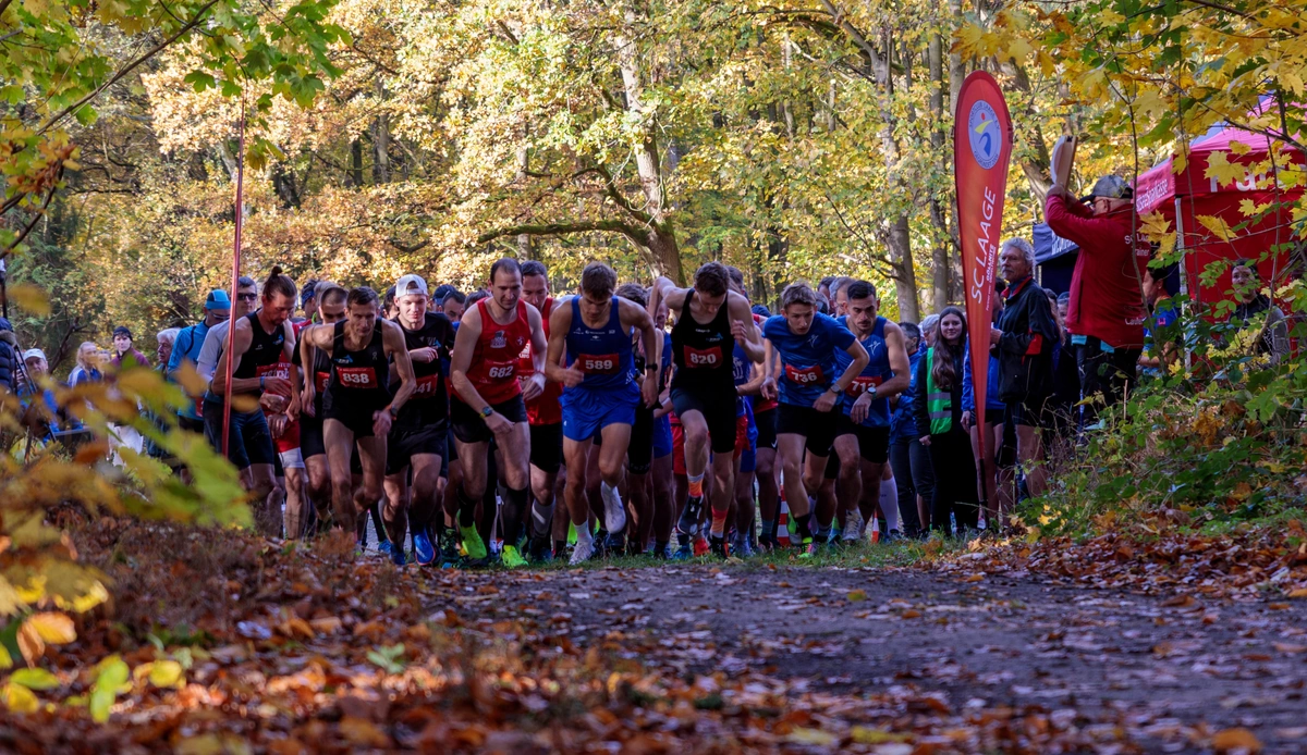Landesmeisterschaften im Crosslauf – im Laager Stadtwald