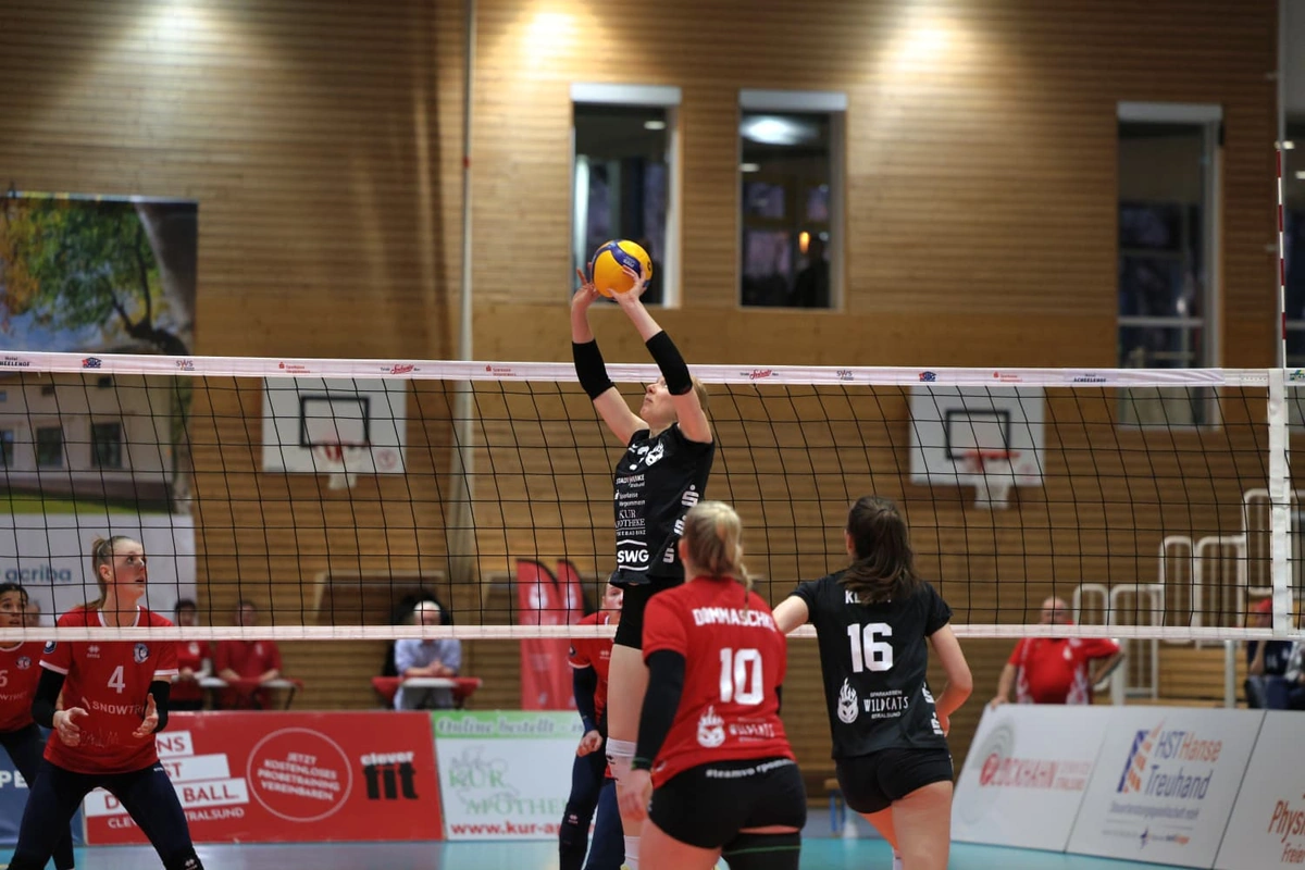 Doppelter Heimsieg! Wildcats setzen starkes Ausrufezeichen