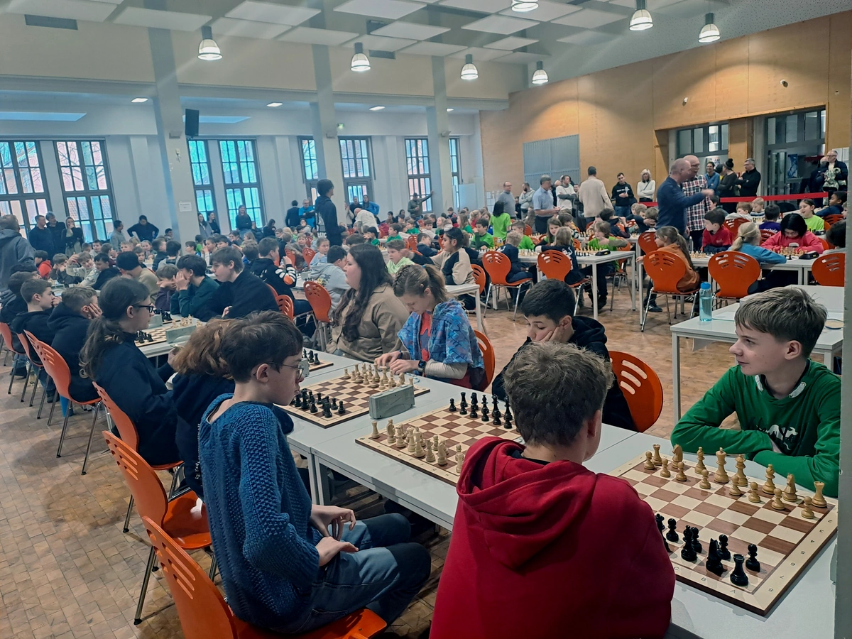 Clever gesetzt: Torgelower Nachwuchs glänzt bei Schulschachmeisterschaft