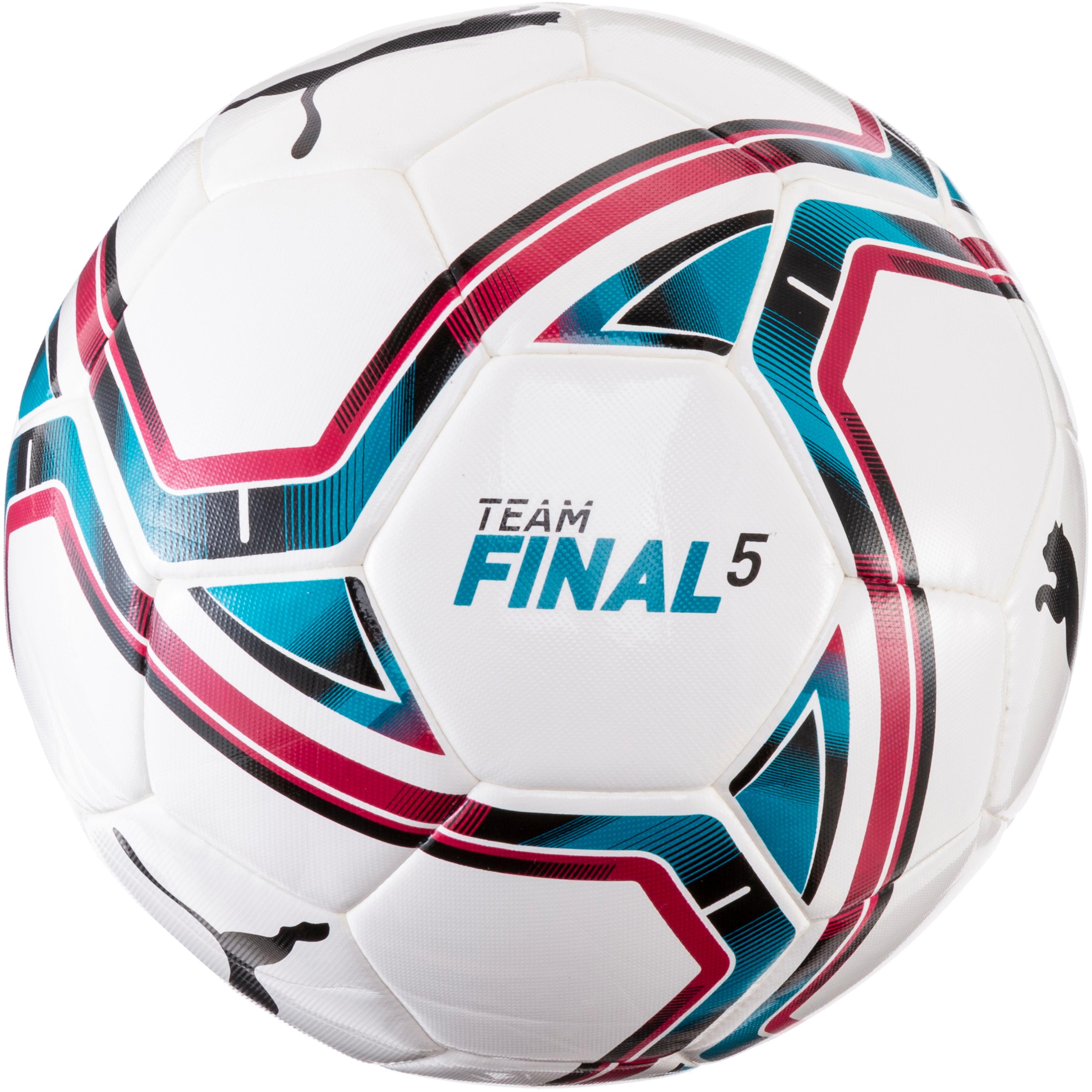 PUMA TeamFINAL 21.5 Fußball | MV-Sport.de