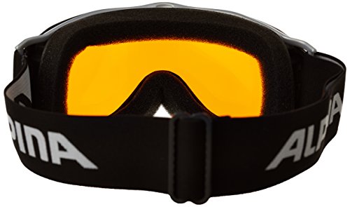 Alpina Skibrille FreeSpirit, schwarz transparent dlh One size - 4