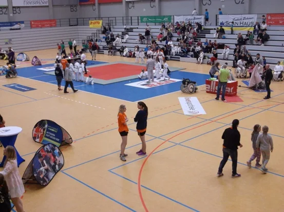 Sportfest der Vielfalt in Schwerin 2017 – Blick zu den dortigen Wettkämpfen in der Palmberg-Arena. M.M.