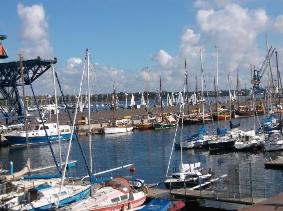 Hanse Sail-Fans sind wetterfest