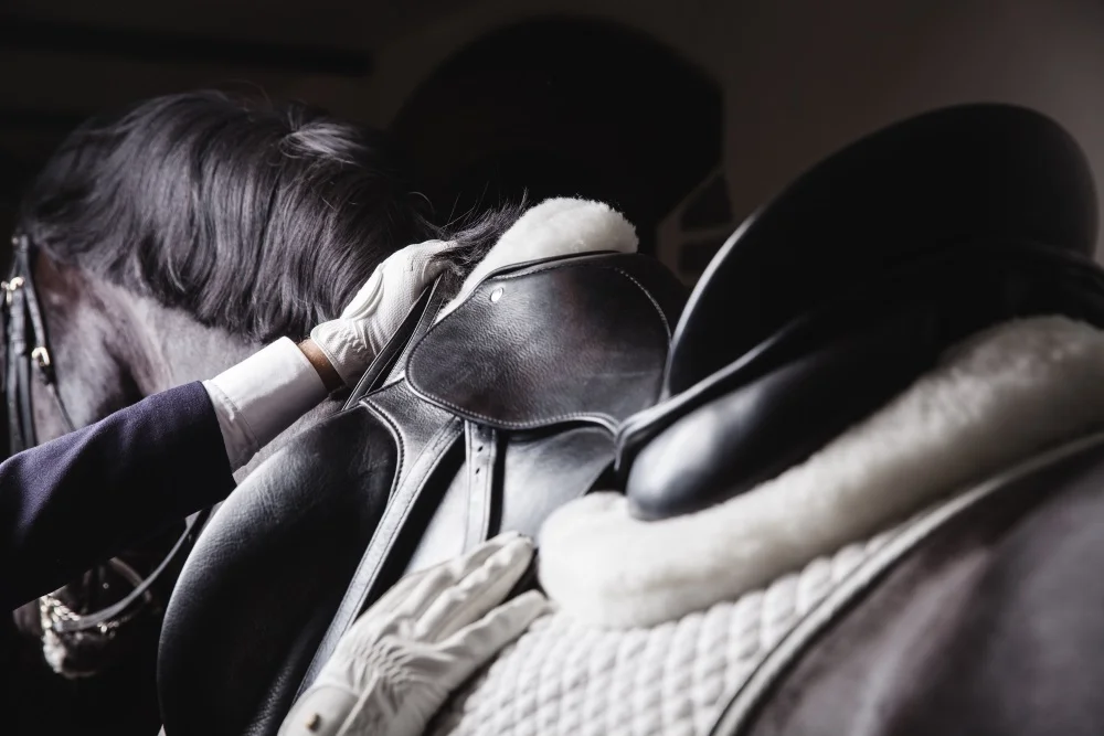 Lily Schrenk gewinnt Finale Femfert Dressage Trophy 2023