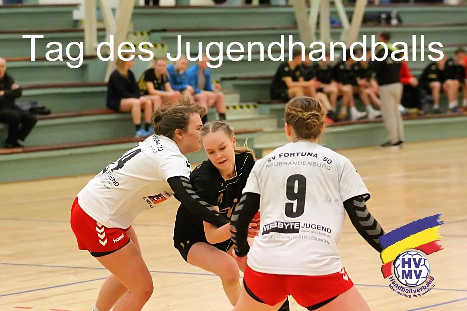 Handballer in MV mit neuem Event: Erstmalig „Tag des Jugendhandballs“