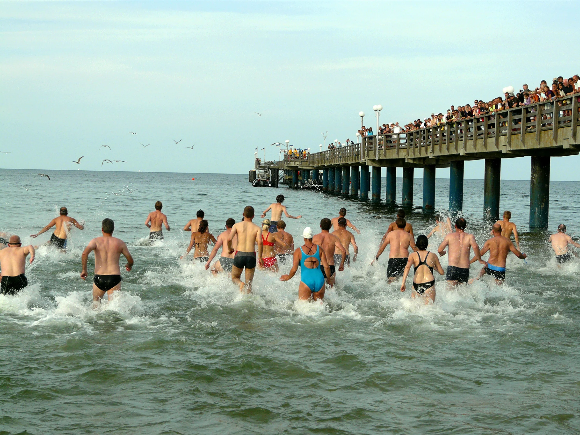 Start zum Binzer Ostseeschwimmen